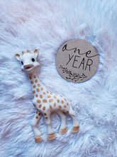 Load image into Gallery viewer, Milestone Discs - set of 13